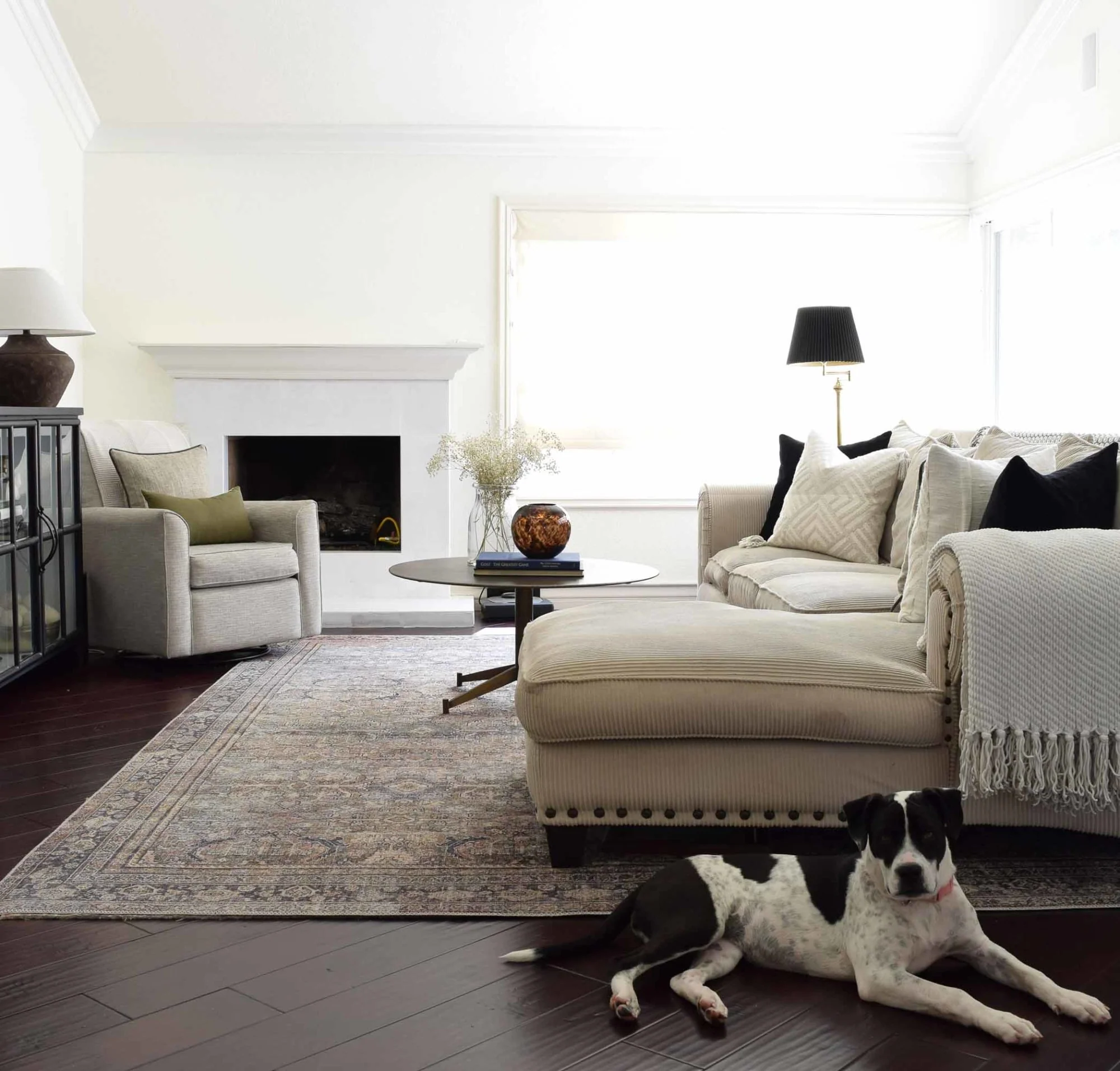 After: beautifully painted modern living room